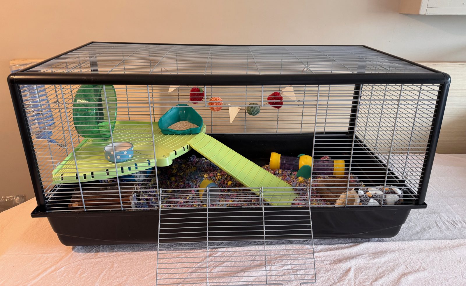 Hamster cage